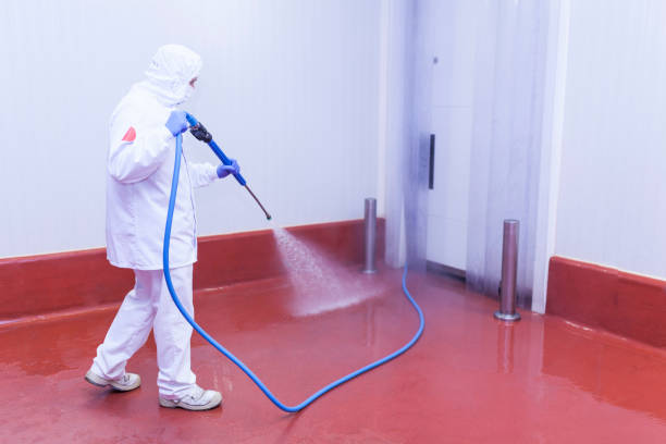 Best Concrete Sealing  in South Lake Tahoe, CA